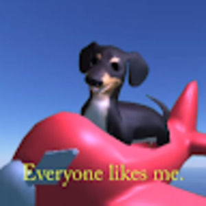 Meet your Posher, Molly